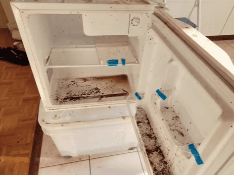 Appartement avant le passage de JS Net Services Sàrl