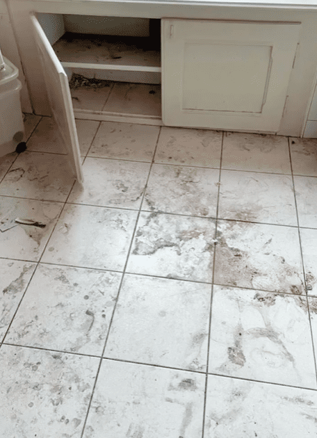 Appartement avant le passage de JS Net Services Sàrl