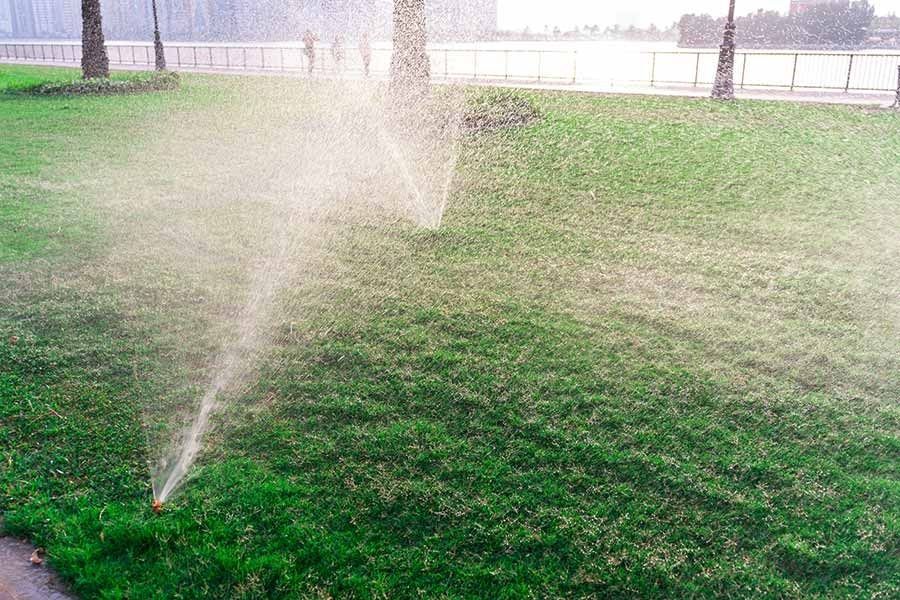 Un aspersor está rociando agua sobre un césped verde y exuberante.