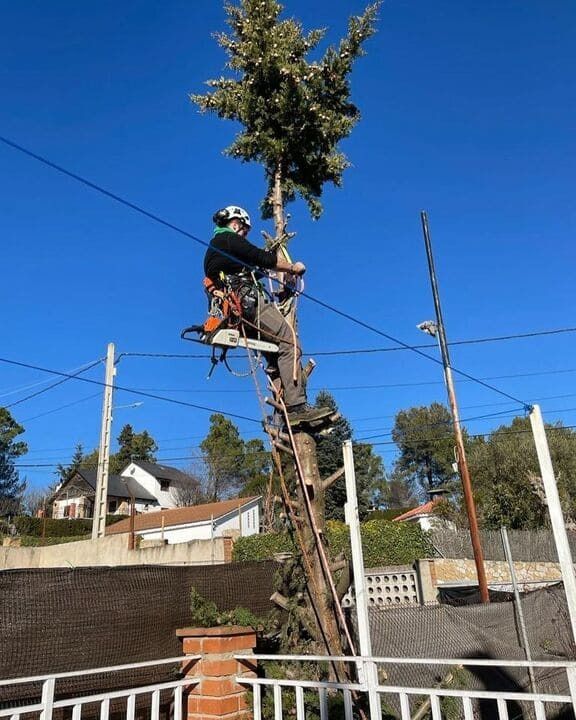 Un hombre está trepando un árbol con una motosierra.