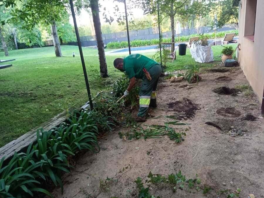 Un hombre con una camisa verde está trabajando en un jardín.