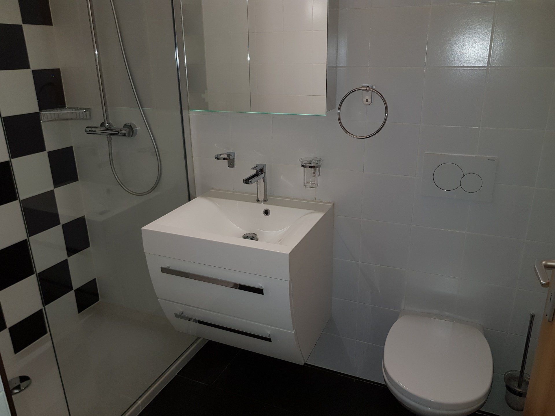 Naef Robert SA - renouvellement de sanitaire