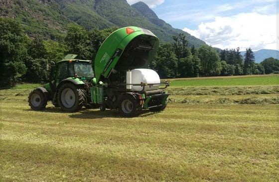Azienda Agricola Mirko Bassi﻿ - Rotoli di Fieno
