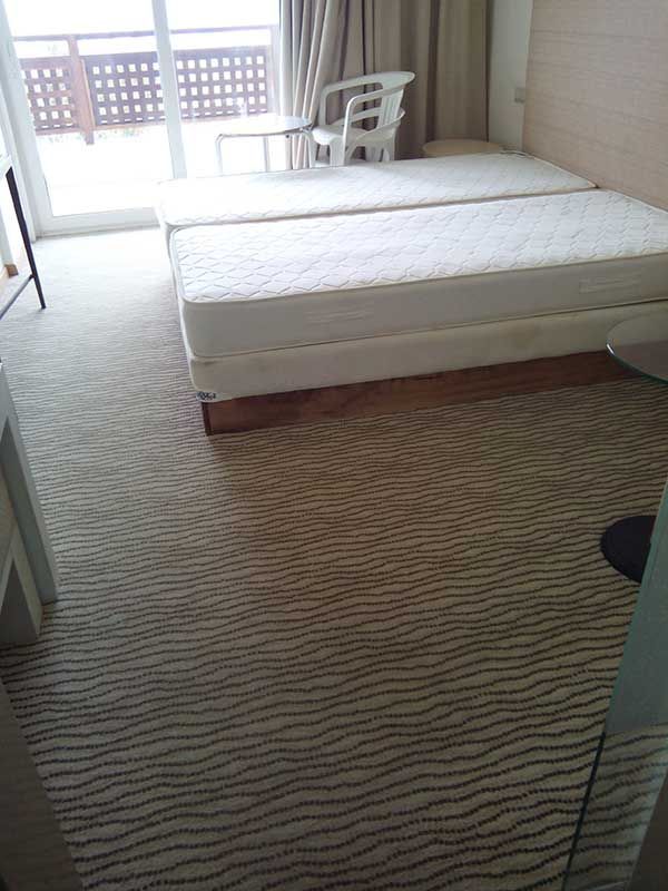 Βιοκαθαρισμός Χαλιών Μοκετών