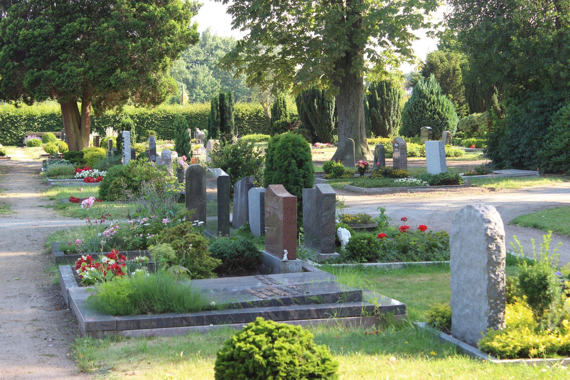 Un cimetière et de la verdure.