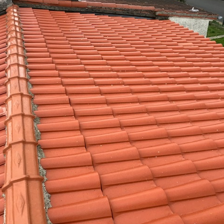 Entretien démoussage toit