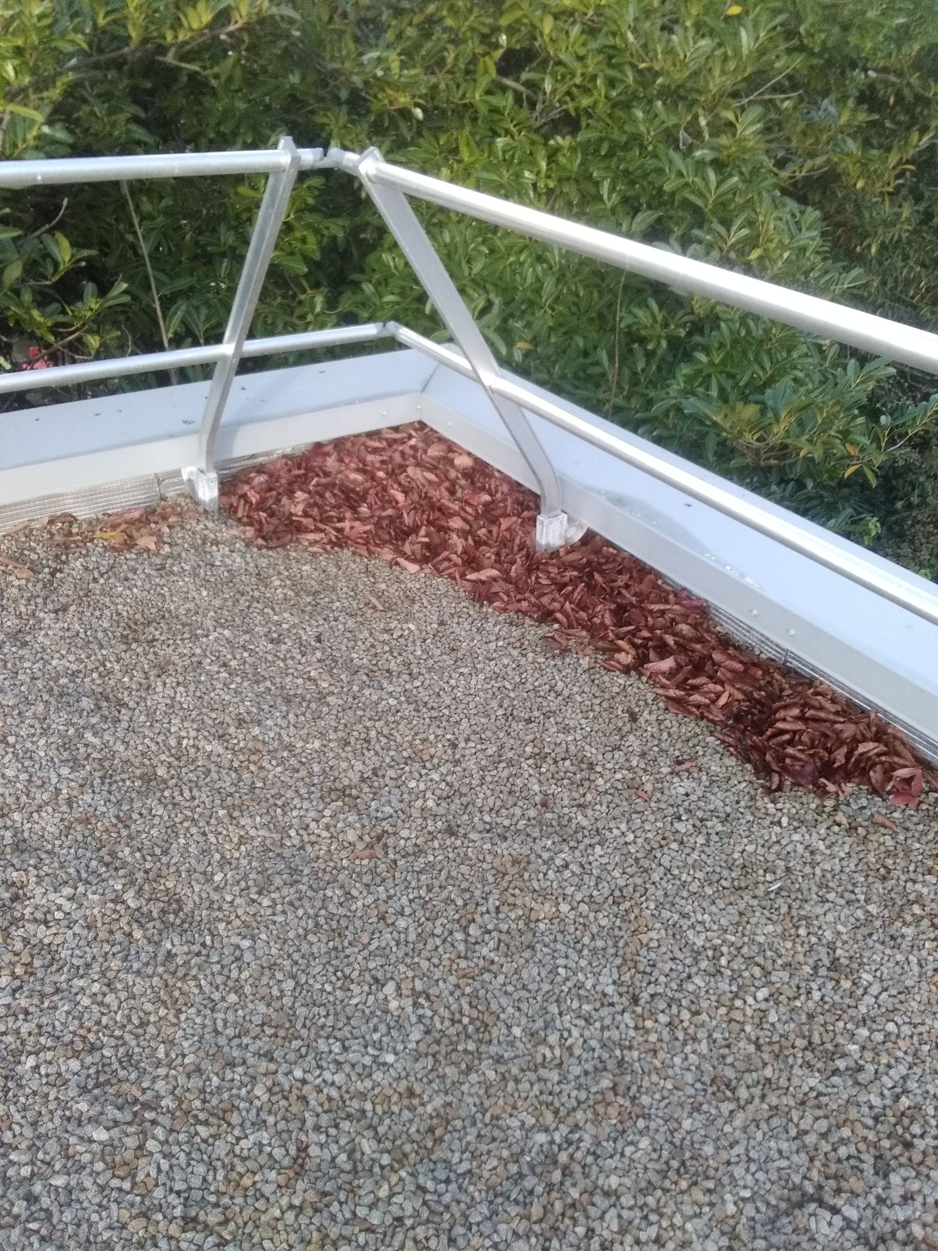 Avant l'entretien d'une toiture-terrasse à Avranches