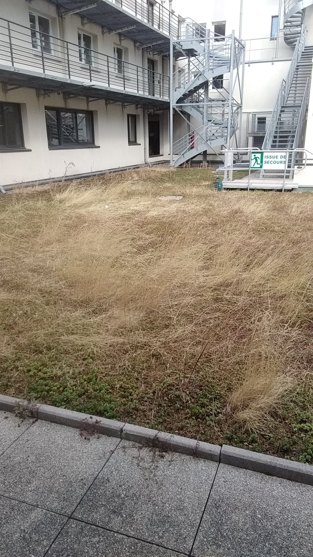 Avant l'entretien d'une toiture-terrasse à Caen