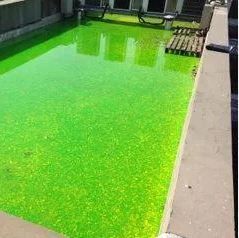Diagnostic par mise à eau colorée d’un toit-terrasse