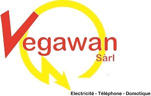 Un logo pour une entreprise appelée vegawan sarl