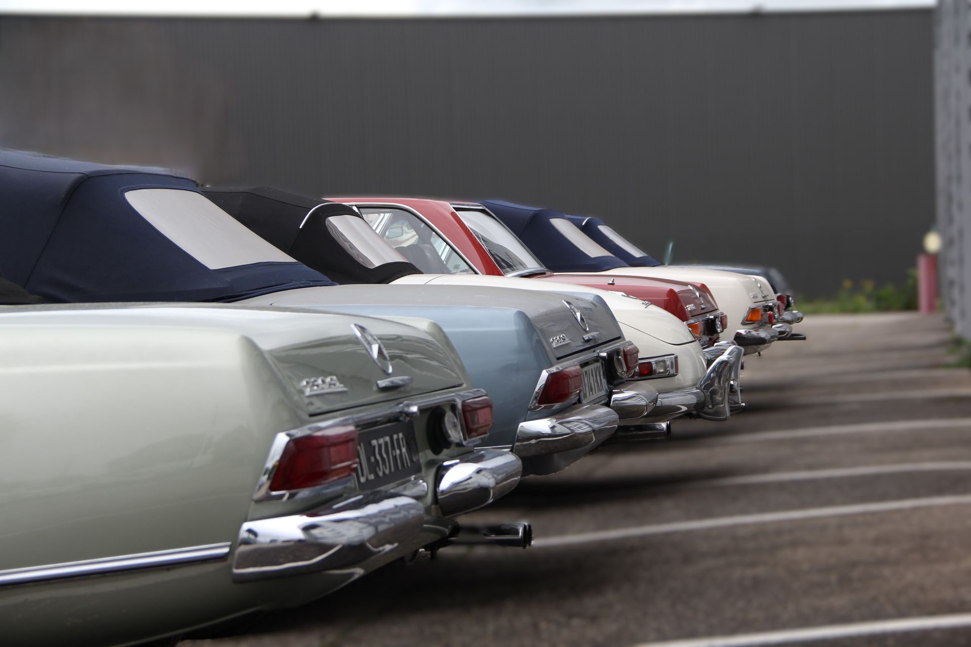 Une rangée de cabriolets classiques, principalement blancs, bleus et rouges, est garée contre un mur gris.