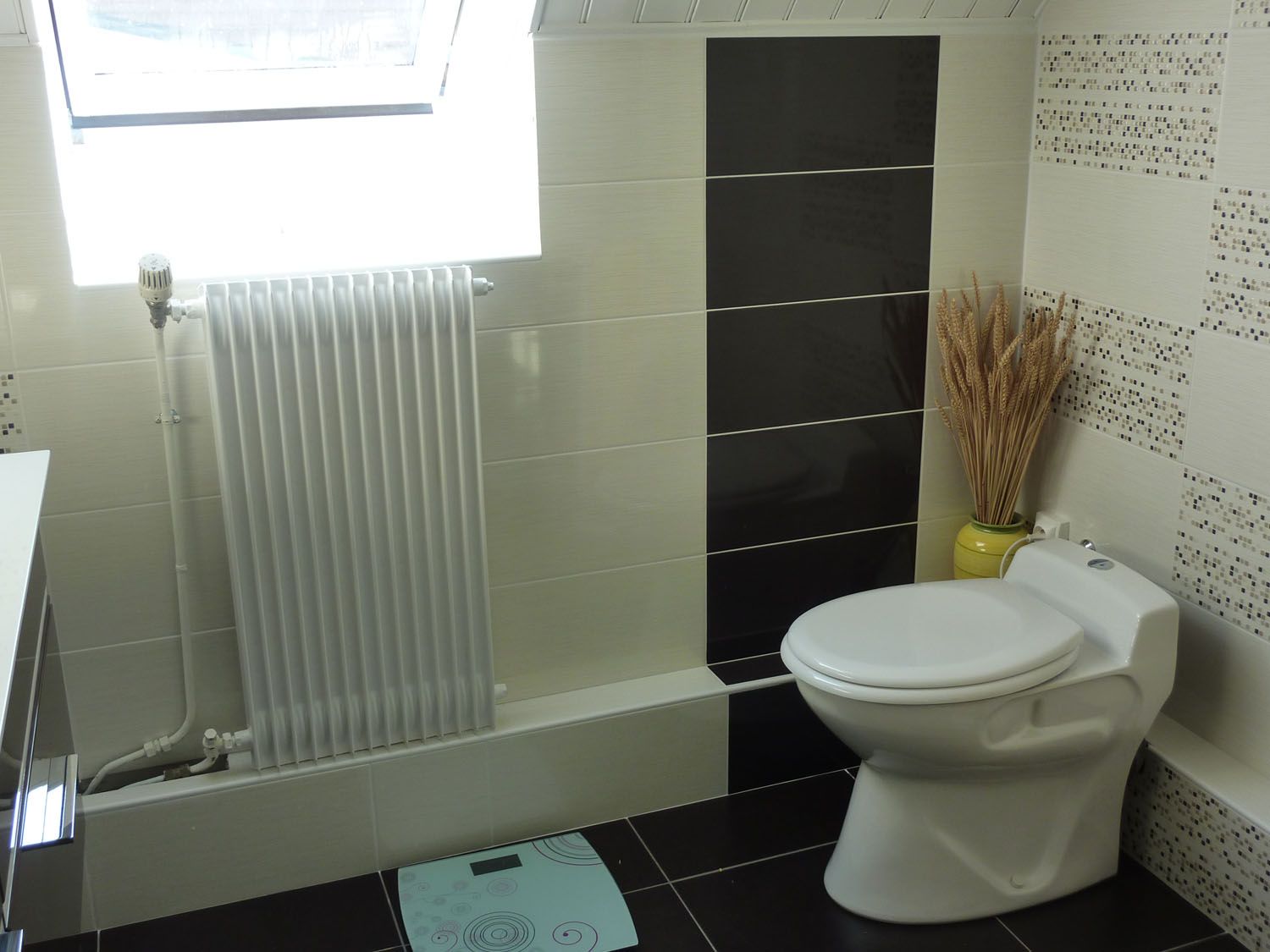 Wc classique dans une salle de bains