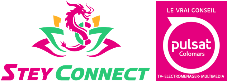 Logo pour Stey Connect : Illustration de dragon au-dessus du texte « Stey Connect ».