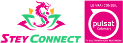 Logo pour Stey Connect : Illustration de dragon au-dessus du texte « Stey Connect ».