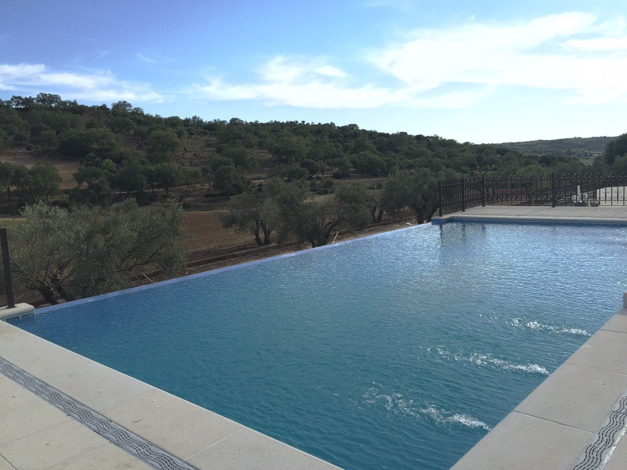 Una gran piscina rodeada de árboles en un día soleado.