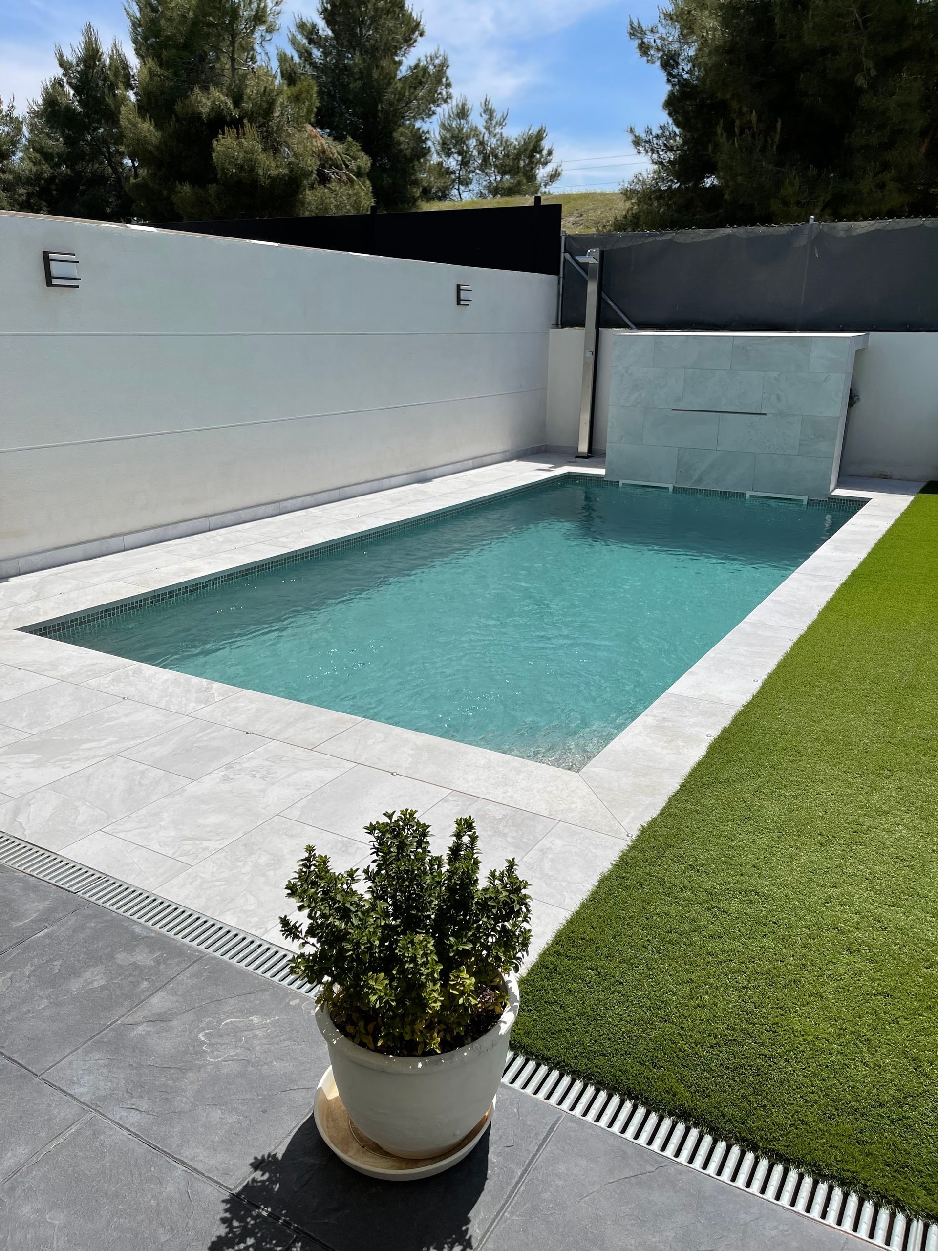 Una planta en maceta se encuentra junto a una gran piscina en un patio trasero.