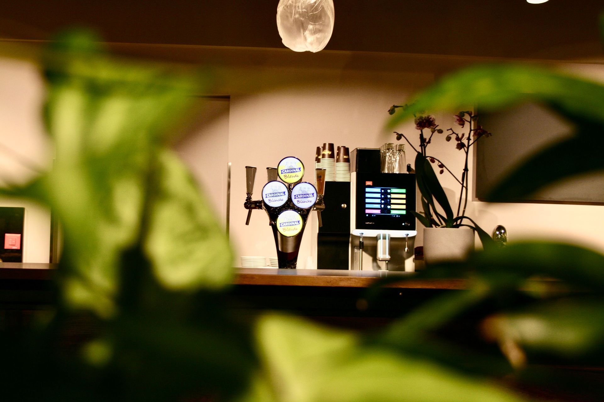 Boulangerie-Pâtisserie Tea Room Guillaume Sàrl -