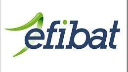 Un logotipo azul y verde para una empresa llamada eflibat.
