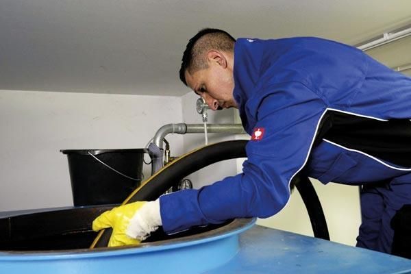 Frisch geputzt in den Frühling starten