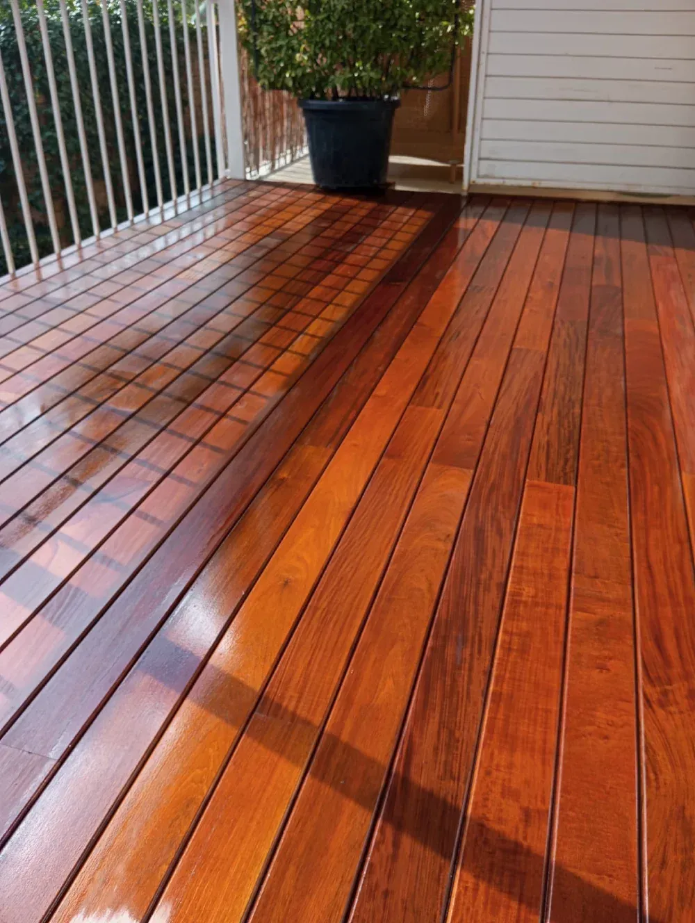 Una terraza de madera con una planta en maceta encima