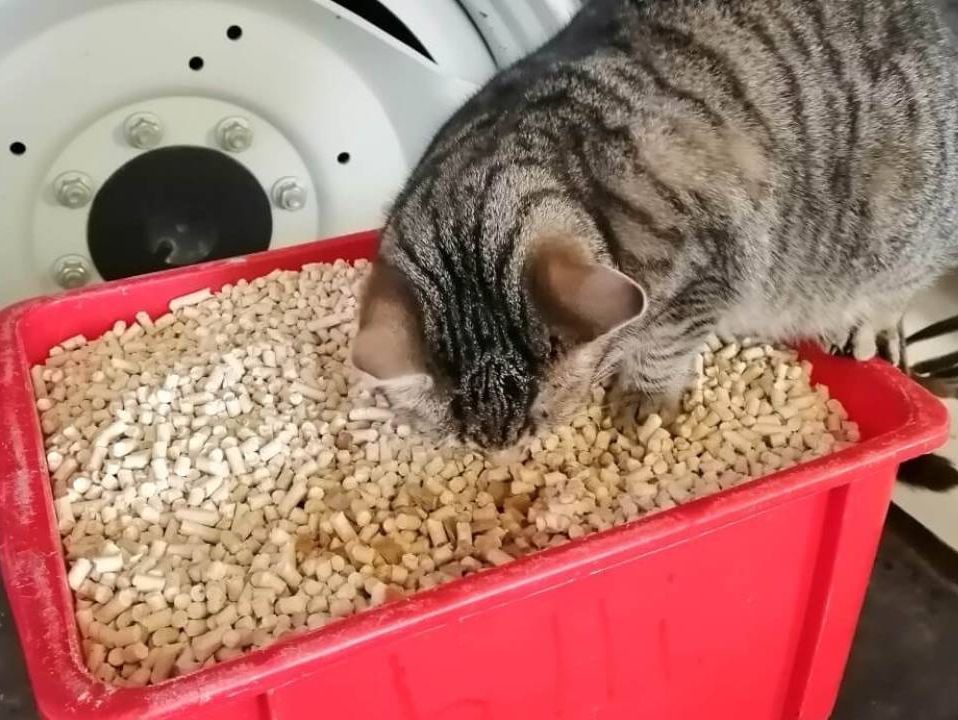 Pelletti 6 mm, 0,5 kg. Tuotenumero: Puupelletti 1