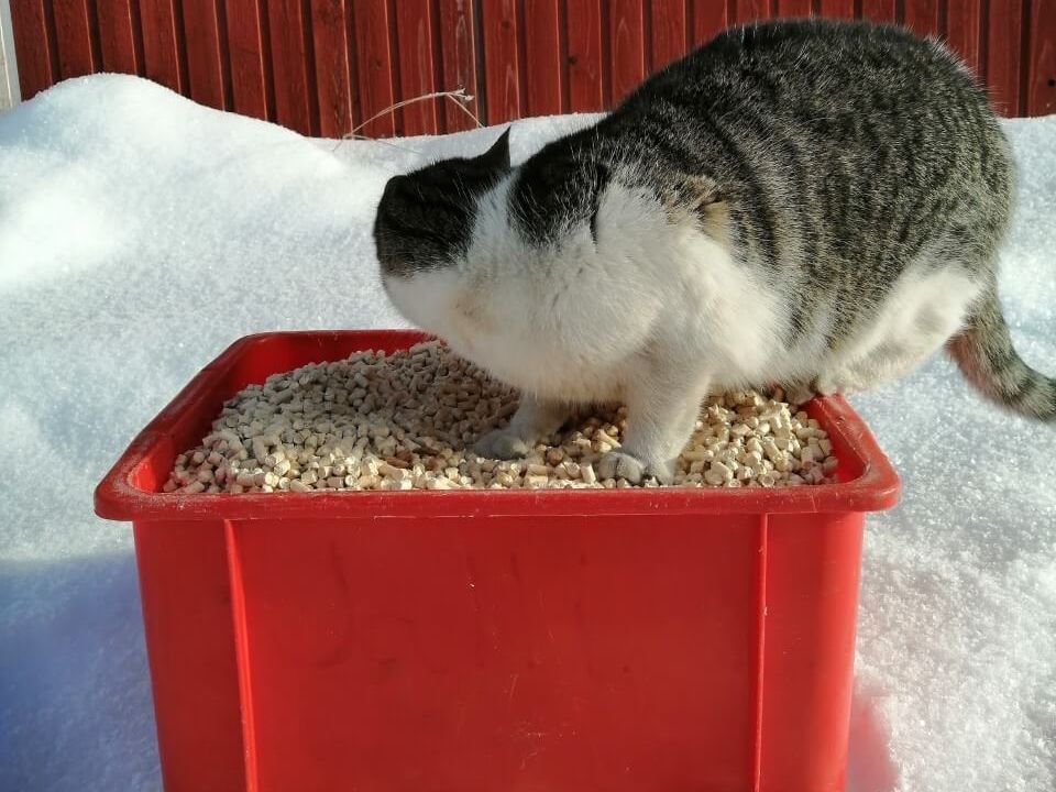 Pelletti 6 mm, 0,5 kg. Tuotenumero: Puupelletti 1