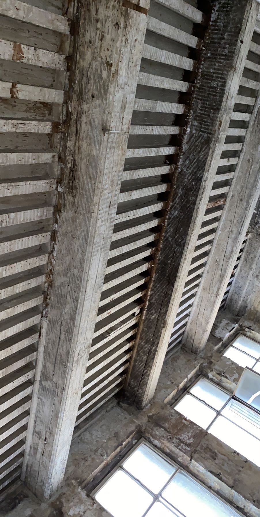 Aérogommage d’un plafond à la française dans un appartement canut à Lyon 4ᵉ