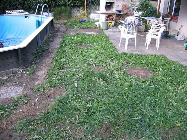 Bison Gartenbau AG
