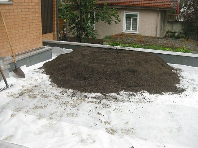 Bison Gartenbau AG