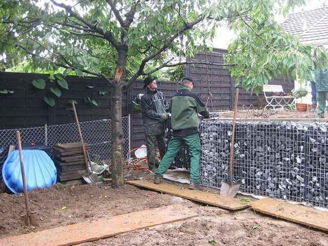 Bison Gartenbau AG