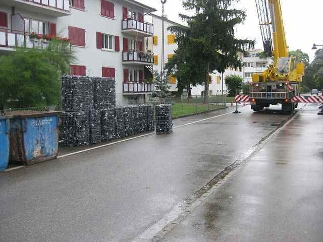 Bison Gartenbau AG