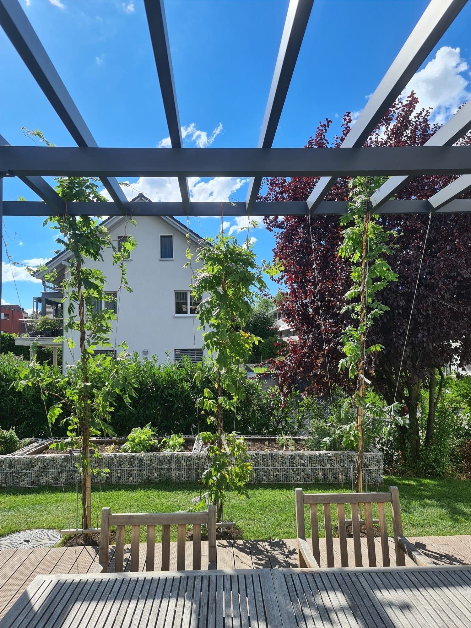 Professionelle Gartengestaltung von Bison Gartenbau AG in Muttenz, Basel, Liestal, Sissach, Pratteln und der Region Basel. Hochwertige Gartenplanung und Landschaftsbau für Ihr Zuhause.