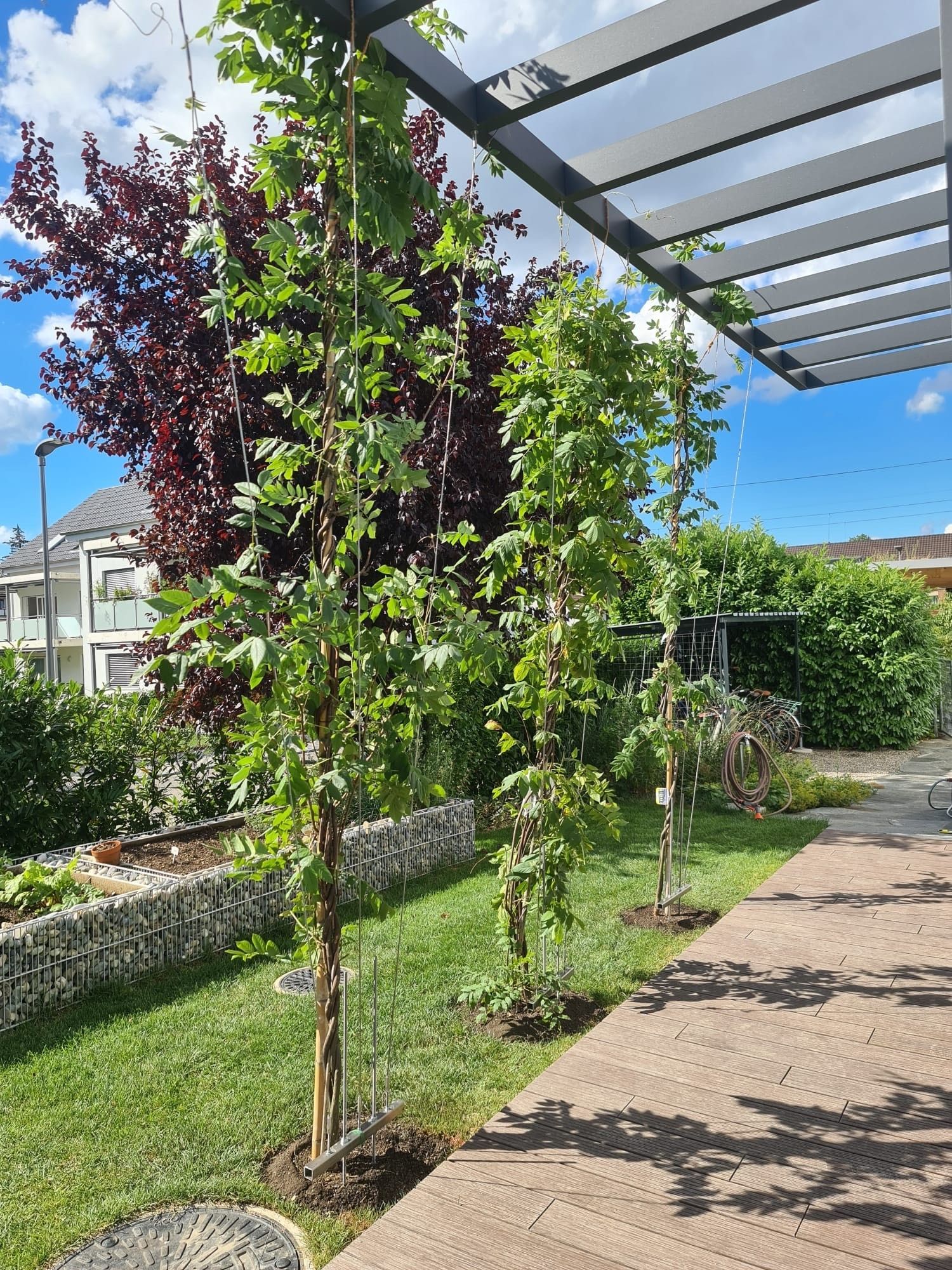 Professionelle Gartengestaltung von Bison Gartenbau AG in Muttenz, Basel, Liestal, Sissach, Pratteln und der Region Basel. Hochwertige Gartenplanung und Landschaftsbau für Ihr Zuhause.