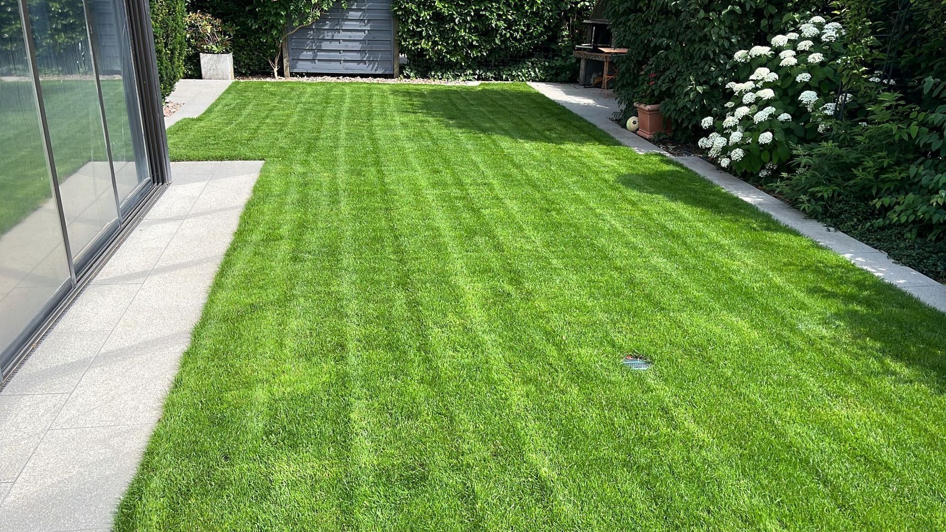 Professionelle Gartengestaltung von Bison Gartenbau AG in Muttenz, Basel, Liestal, Sissach, Pratteln und der Region Basel. Hochwertige Gartenplanung und Landschaftsbau für Ihr Zuhause.