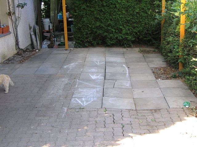 Bison Gartenbau AG