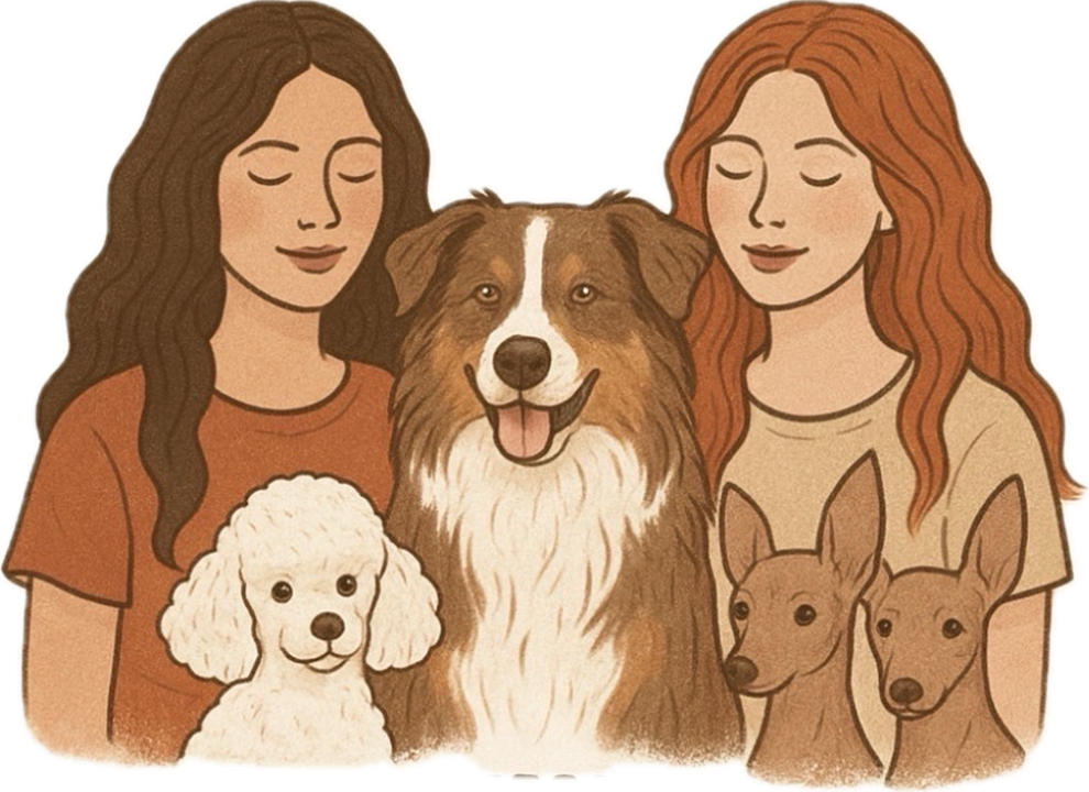 Vers la page d'Accueil. Logo de The Sister's Grooming.