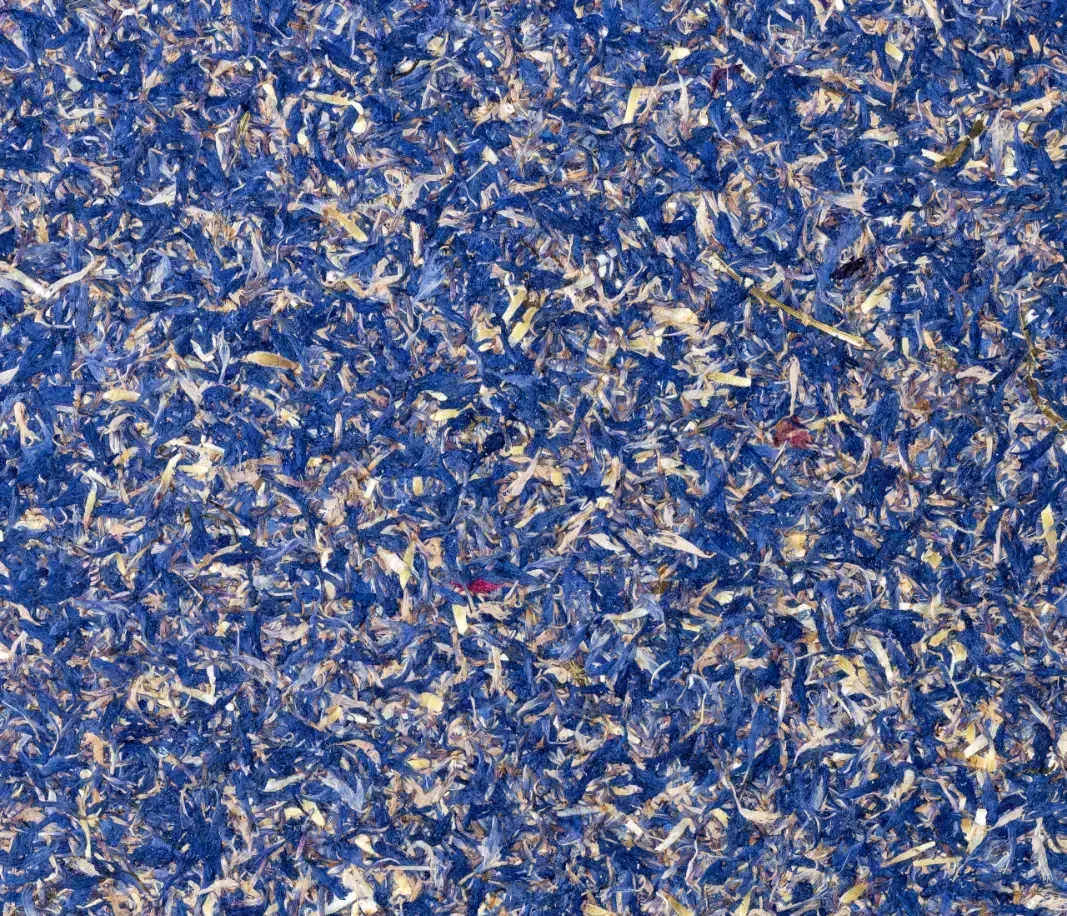 Eine Nahaufnahme einer blau-goldenen Teppichstruktur