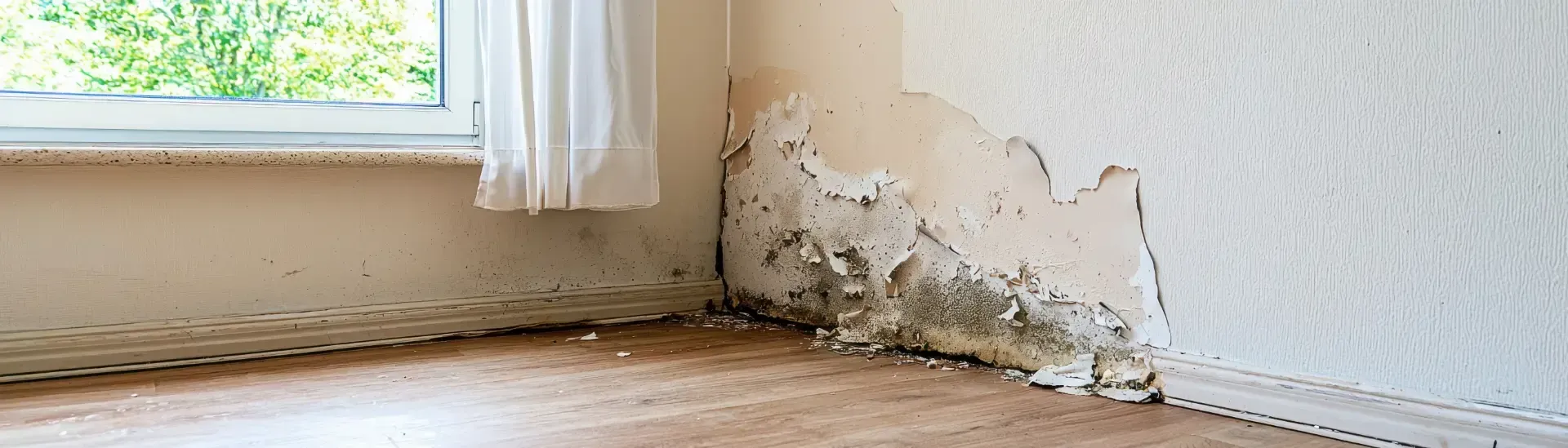 Ein Zimmer mit einem Fenster und einer Ecke mit Schimmel an der Wand.