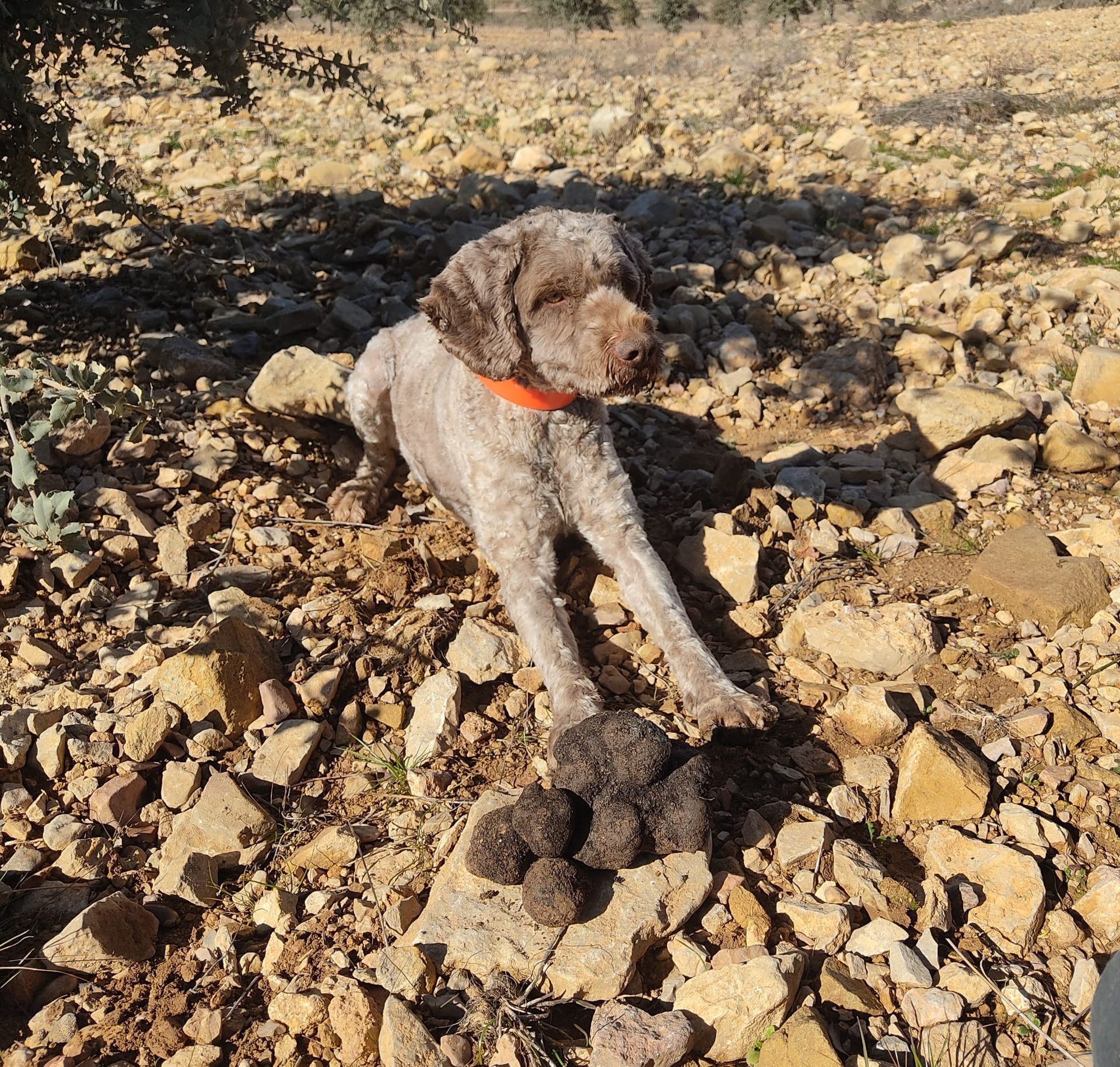 imagen nuestra historia