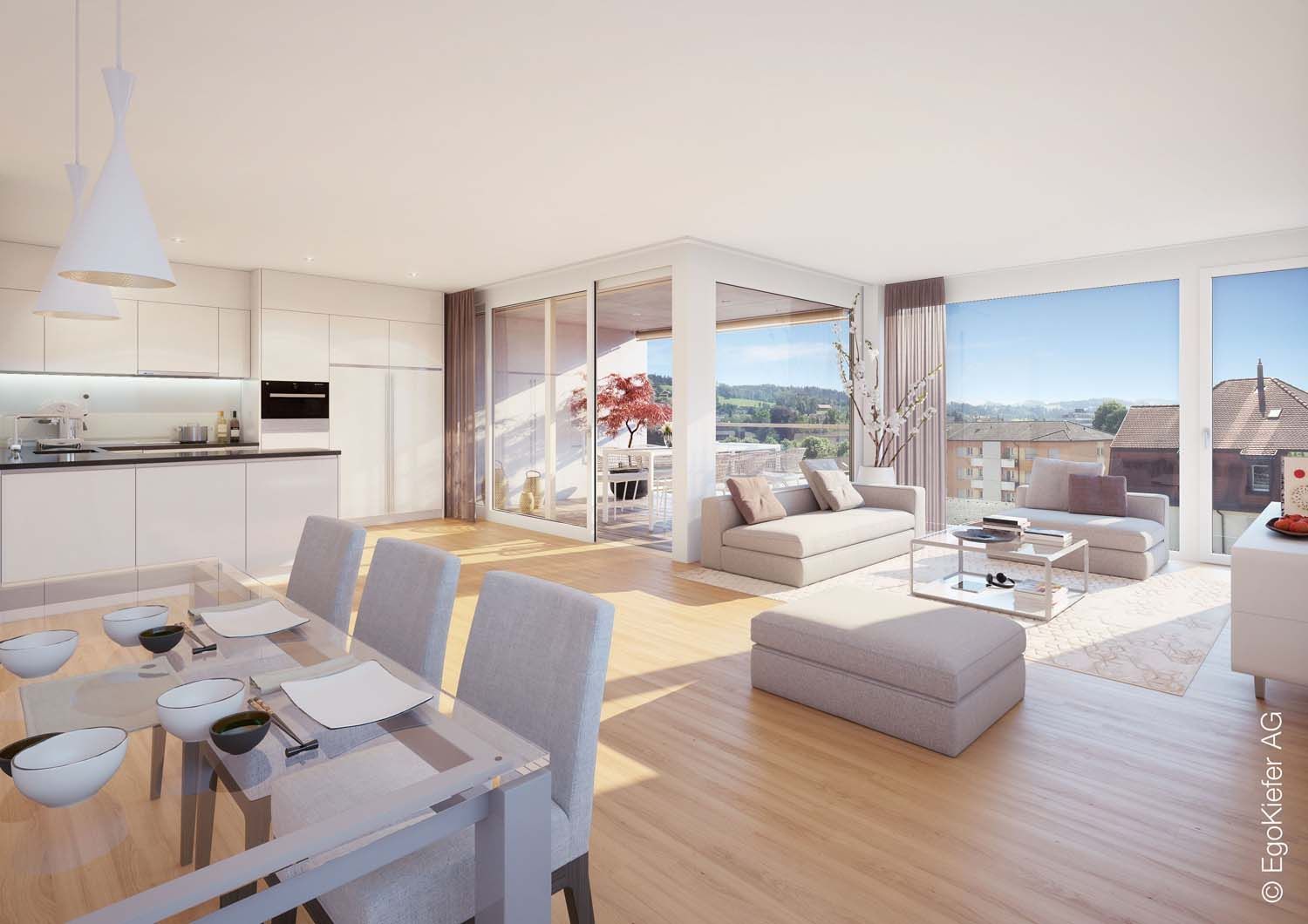 Fenster - D. Ochsenbein & Co. – Wohlenschwil