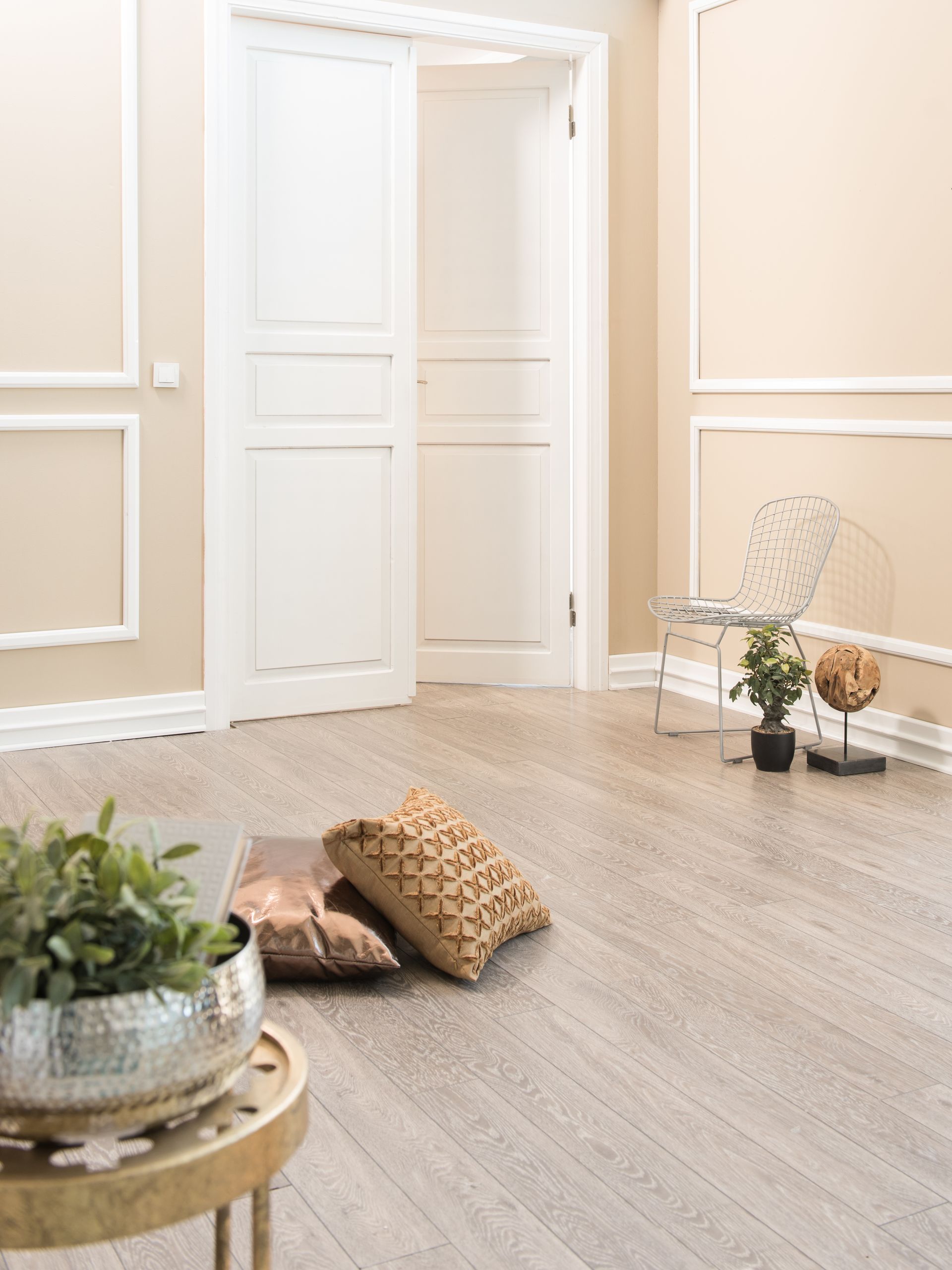 Des coussins et des plantes sur la parquet flottant de couleur claire