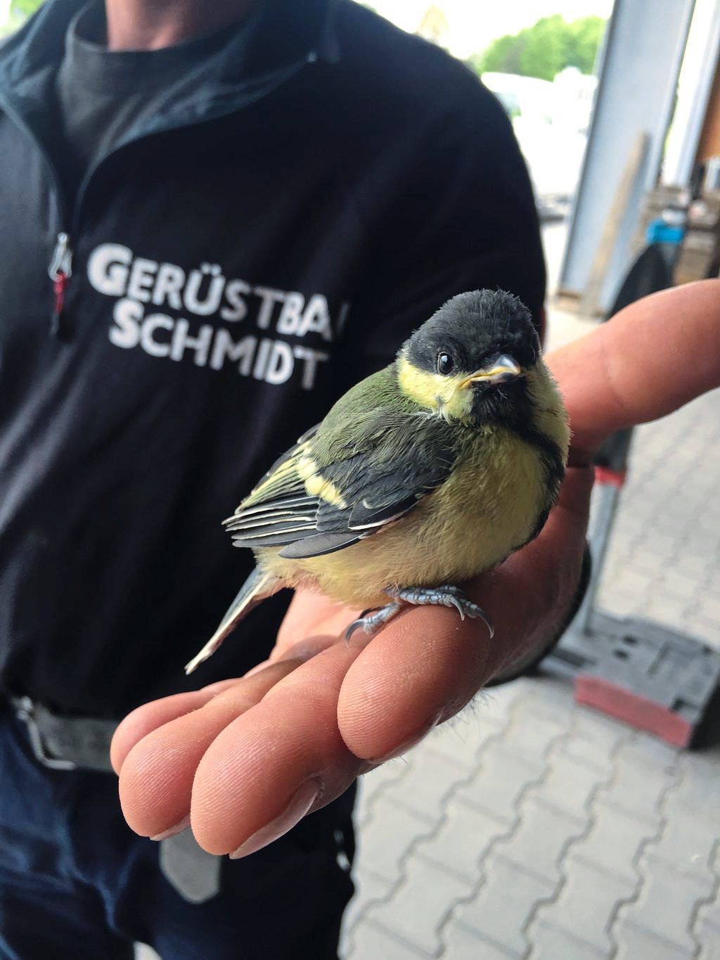 Mitarbeiter Gerüstbau Schmidt