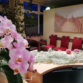 Wartebereich der Praxis Anika Bergholz