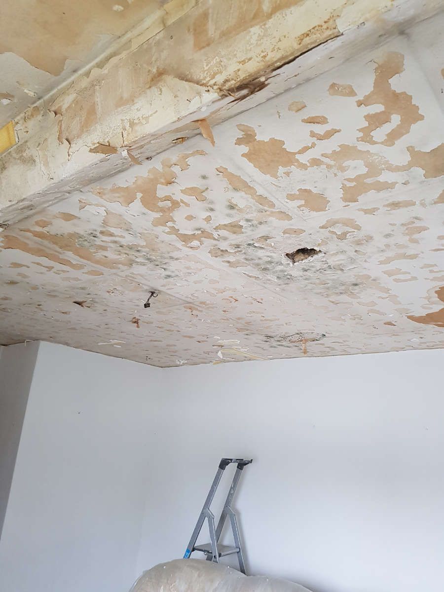 Austausch von schimmelbefallenen Gipskartondecken