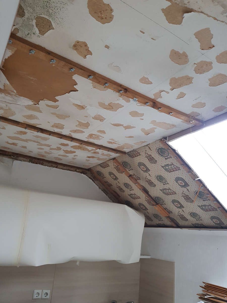 Austausch von schimmelbefallenen Gipskartondecken
