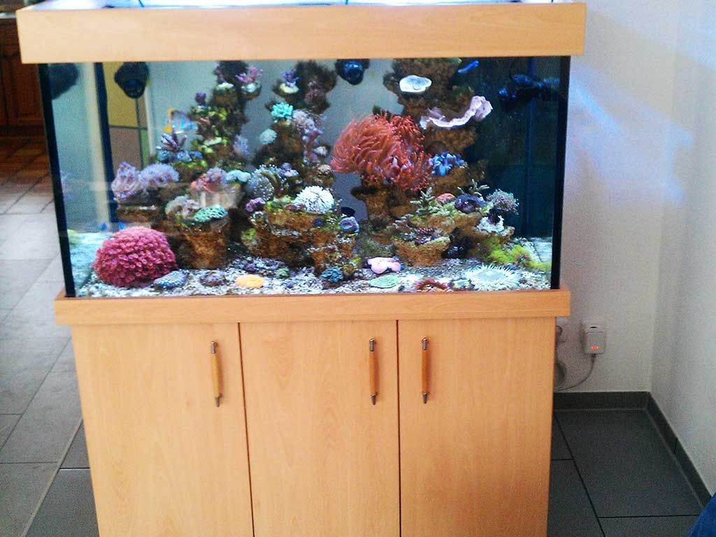 Holzbearbeitung Lettmann Aquariumschrank