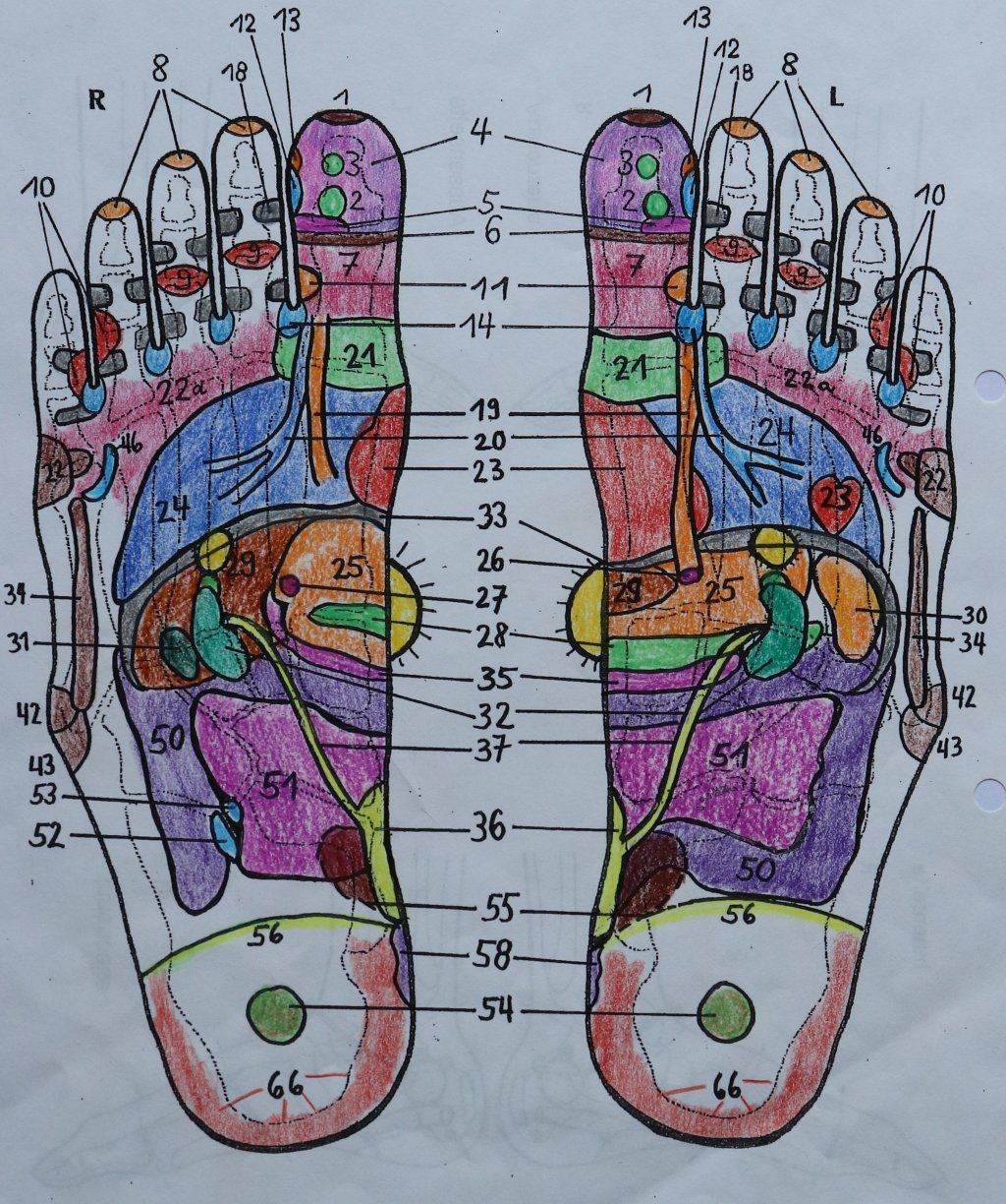 Reflexzonen Fussunterseite