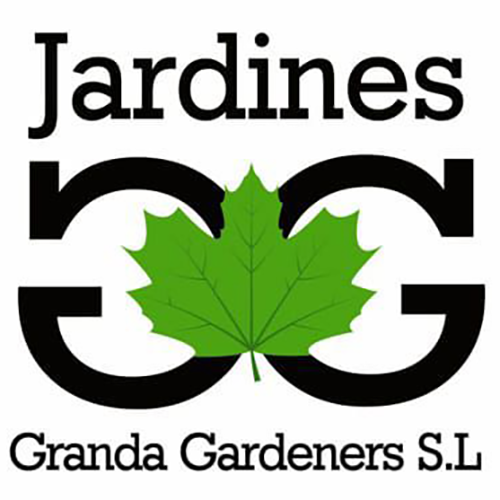 logotipo cabecera