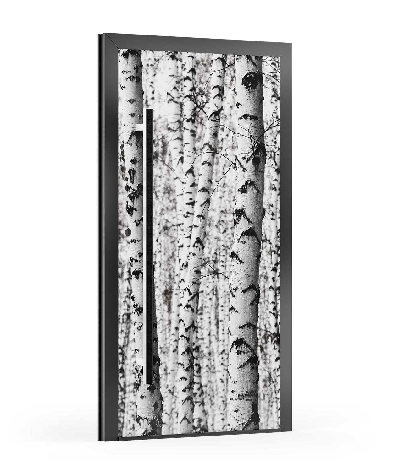 Schwarz-weiße Tür mit Birkenaufdruck und schwarzem Griff.