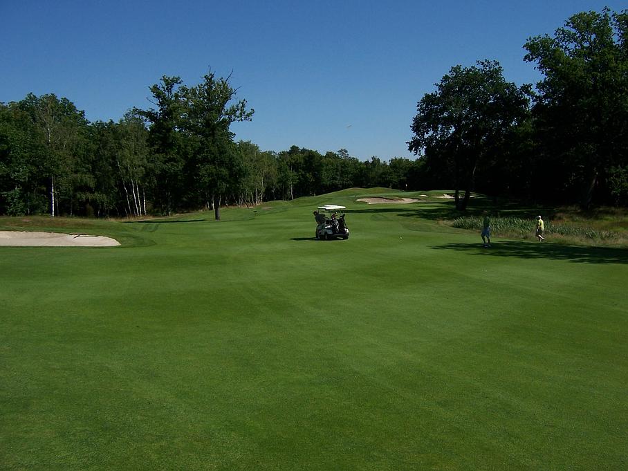 Voiturette sur un golf